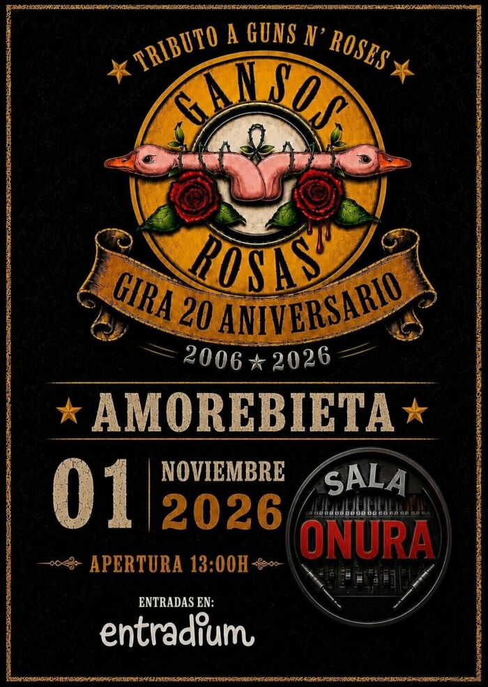 GANSOS ROSAS EN AMOREBIETA
