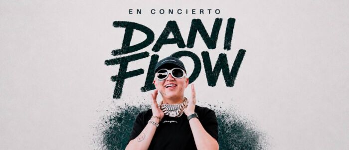 Dani Flow