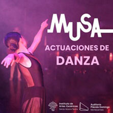 Festival Musa 2027