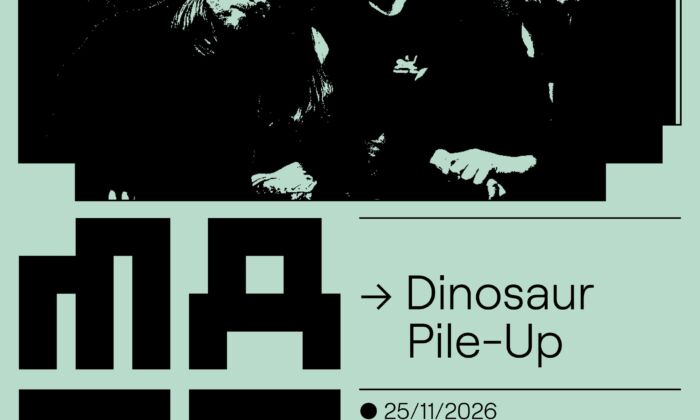 Dinosaur Pile-Up en MAZO