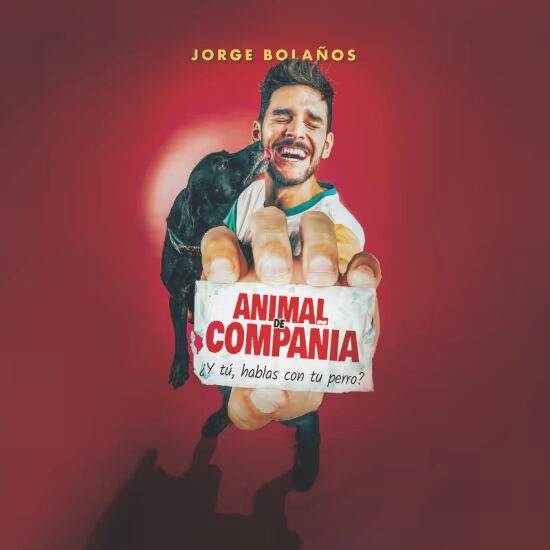 Animal de Compañía