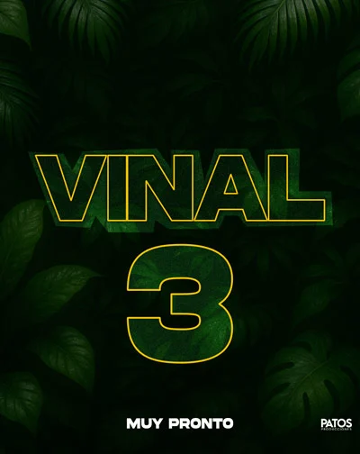 Vinal Fest 3