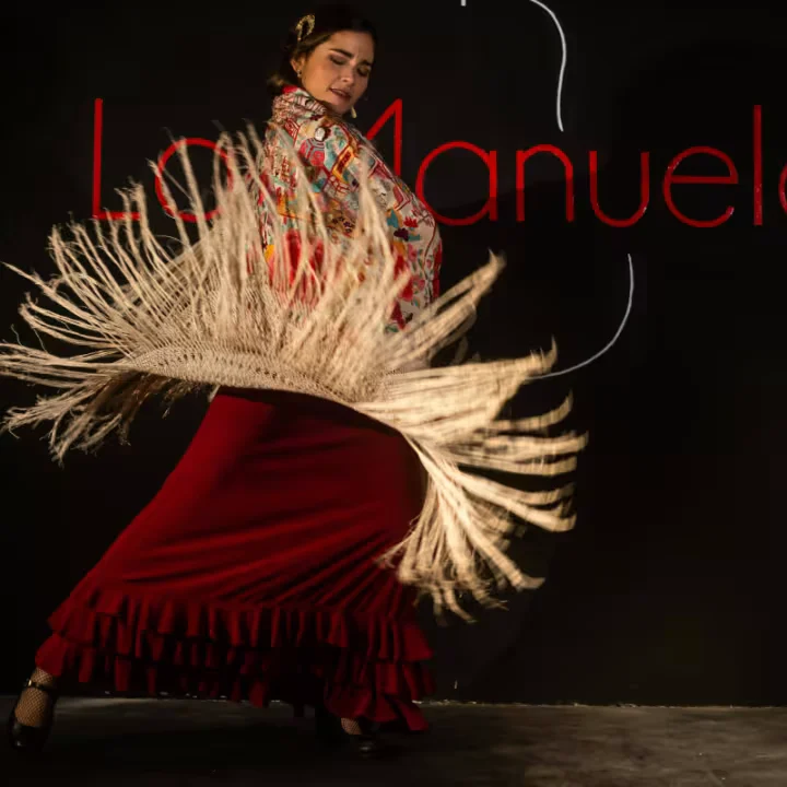 Tablao La Manuela: show de flamenco