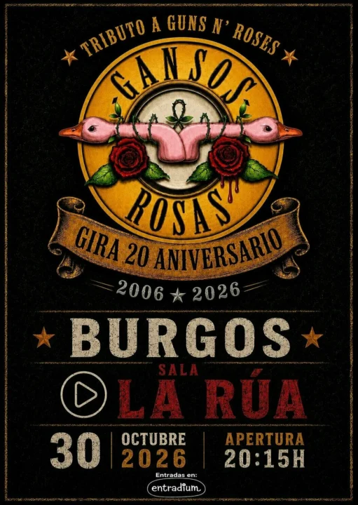 GANSOS ROSAS — concierto en España