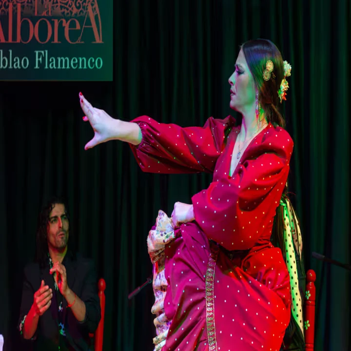 Tablao Flamenco La Alboreá: Espectáculo de Flamenco