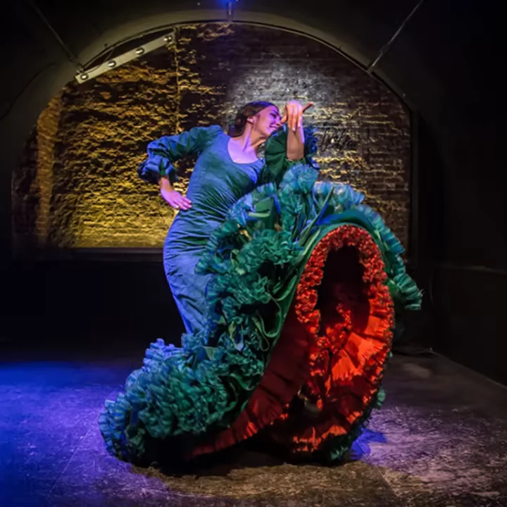 Espectáculo flamenco