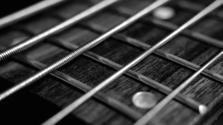 Virginia Maestro en concierto