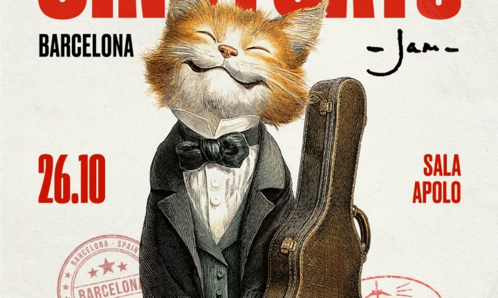 Cindy Cats