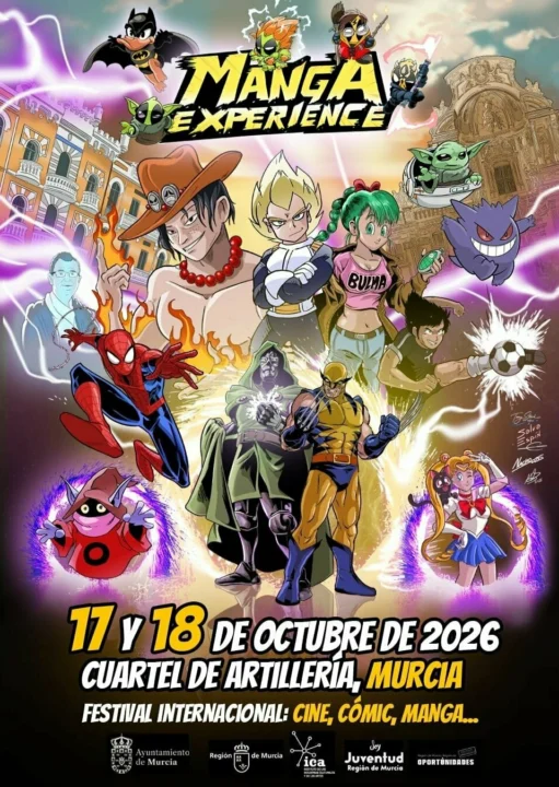 Manga experience