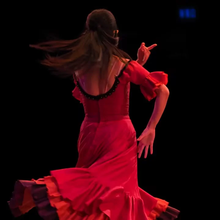 Espectáculo de flamenco
