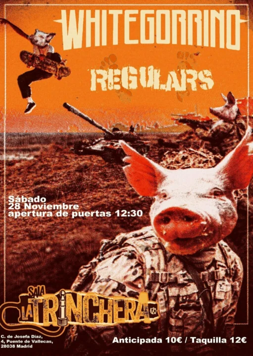 Regulars + Whitegorrino