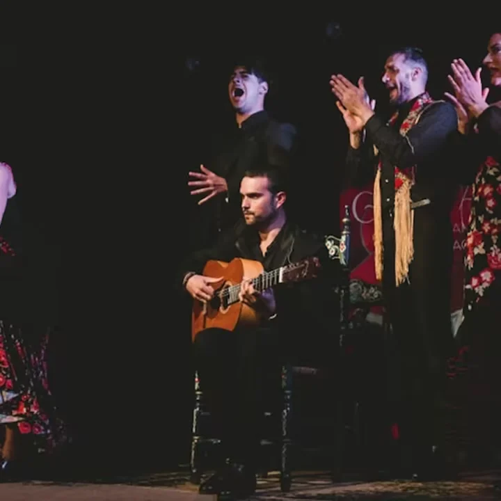 Espectáculo Flamenco Tradicional