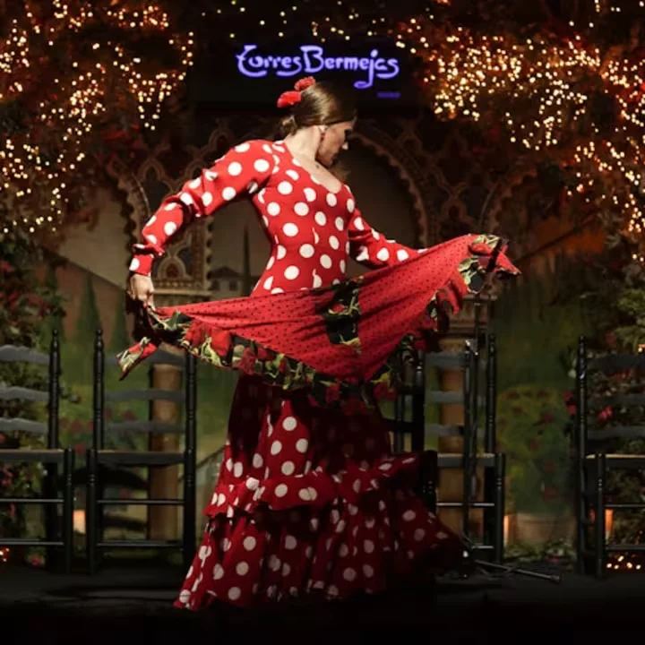 Madrid: Espectáculo flamenco